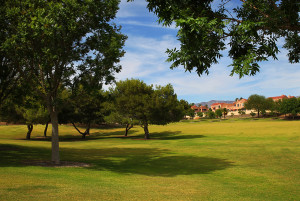 The Rotary Grass Bowl is located within Rotary Park. Jillian Danielson/RiverScene