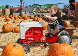 Spencer Gibson plays on a tractor at the Pumpkin Festival Saturday morning. Jillian Danielson/RiverScene