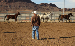Bob looks after the horses as they run around the arena Friday morning. Jillian Danielson/RiverScene 