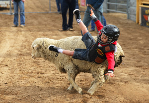 A youngin' falls off of a sheep during the Mutton Bustin Saturday morning. Jillian Danielson/RiverScene 