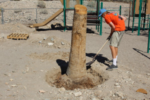 Wesley Smythe removes a tree stump. submitted photo Telesis 