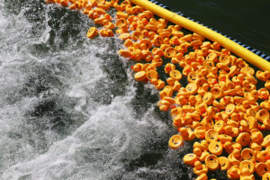 Rubber ducks float under the London Bridge during the Duck Derby Saturday. Jillian Danielson/RiverScene 