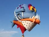 Havasu Balloon Festival