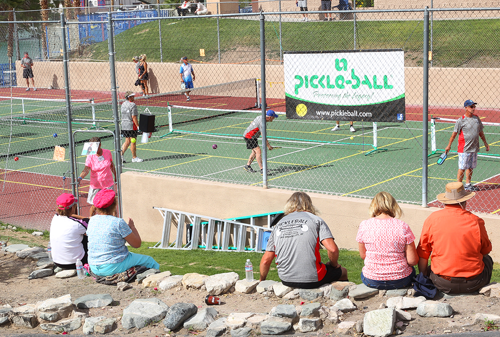 In a Pickle…Ball That Is