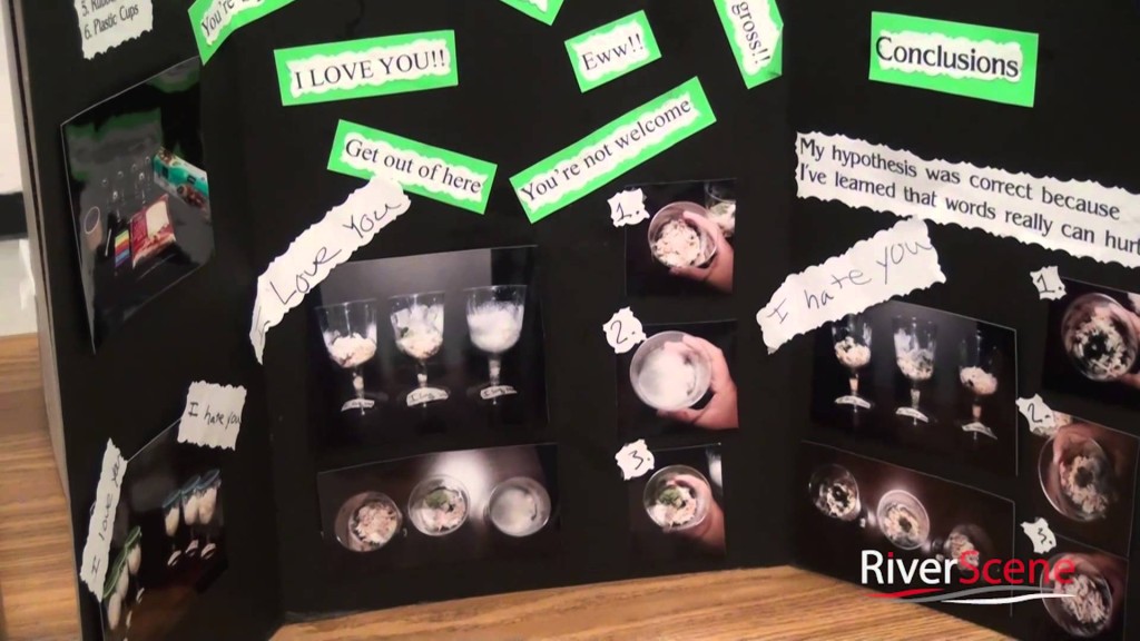 Starline Elementary School Science Fair Projects