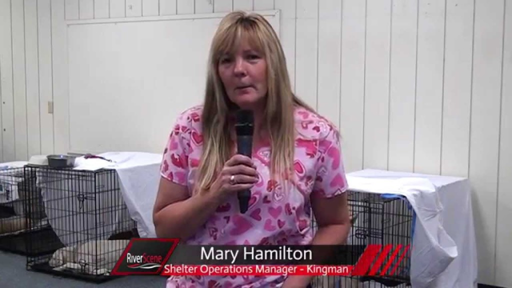 Western Arizona Humane Society Assists in Willow Fire