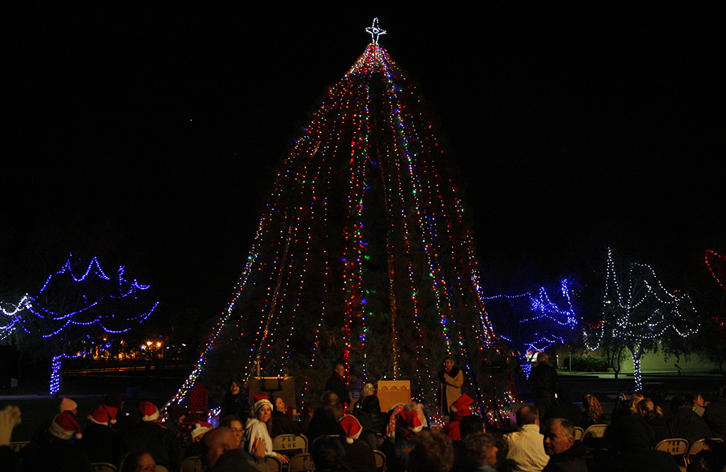 Christmas Tree Lighting At Wheeler Park