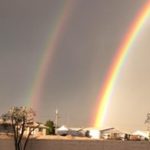 fan rainbow