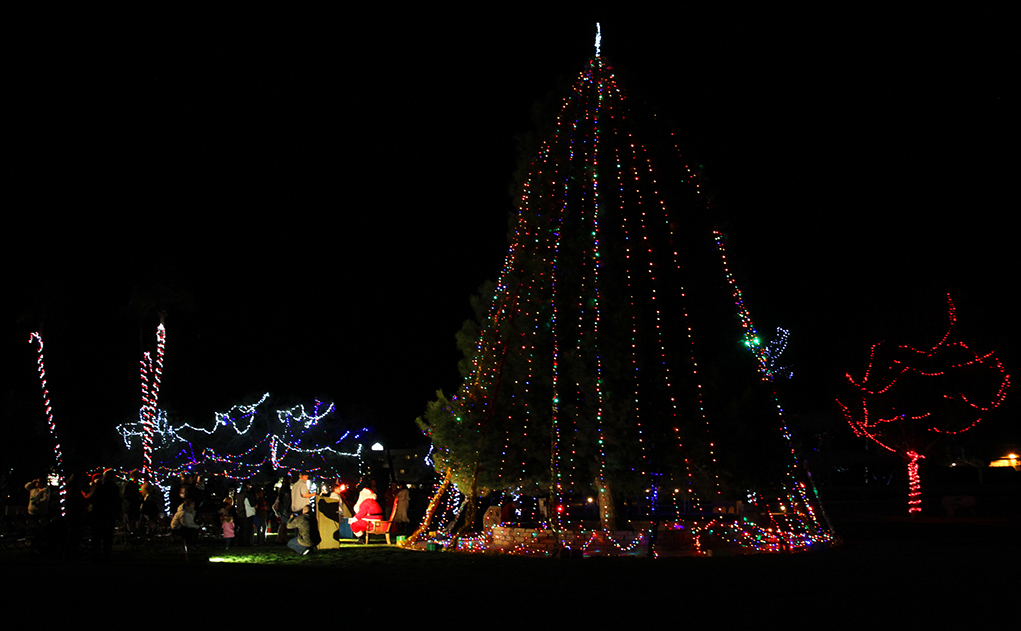 Wheeler Park Tree Lighting