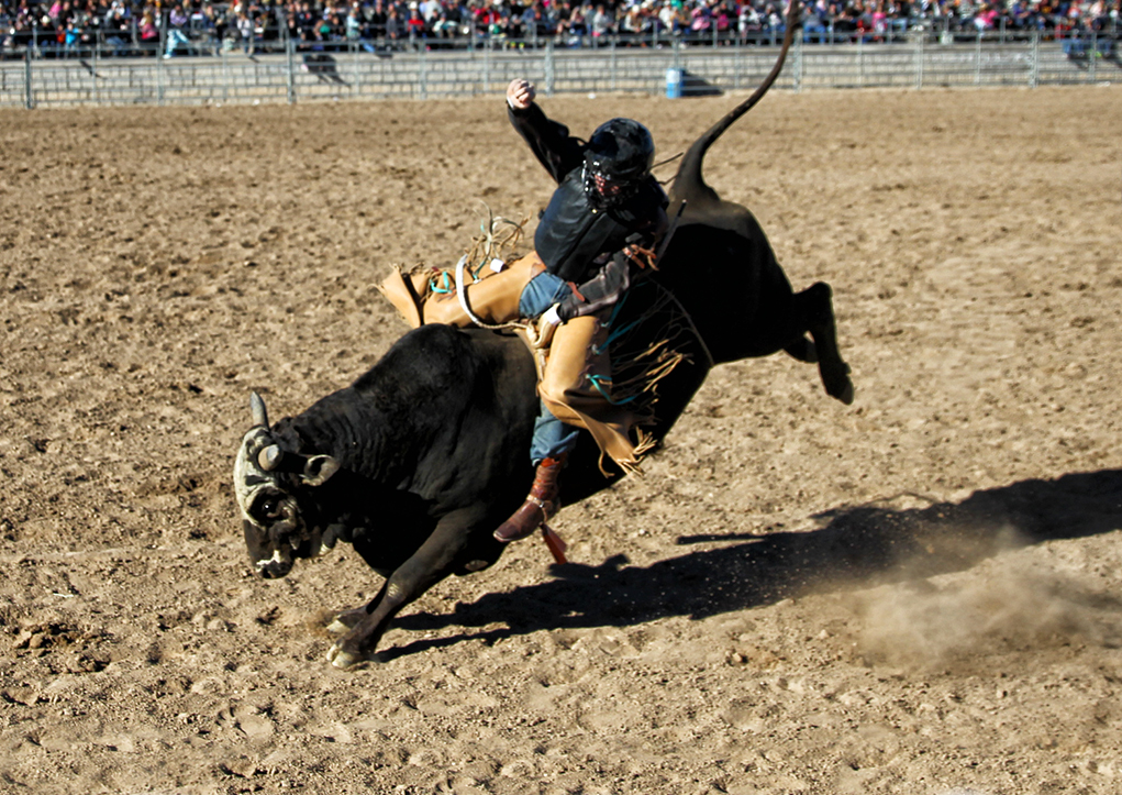 Little Delbert Days and Grand Canyon Pro Rodeo