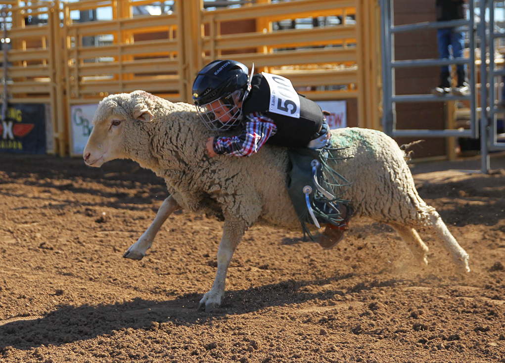 GCPRA’s Rodeo And Little Delbert Days Comes To Lake Havasu This Weekend