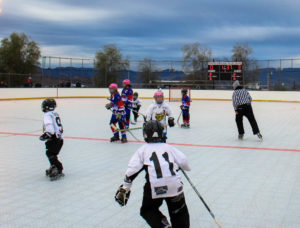 The Lake Havasu Hockey League hosted 25 teams, from throughout the state, at our annual roller hockey tournament.