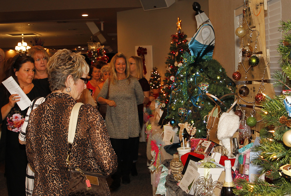Women With Willpower Raises $30,000 At Christmas Tree Raffle
