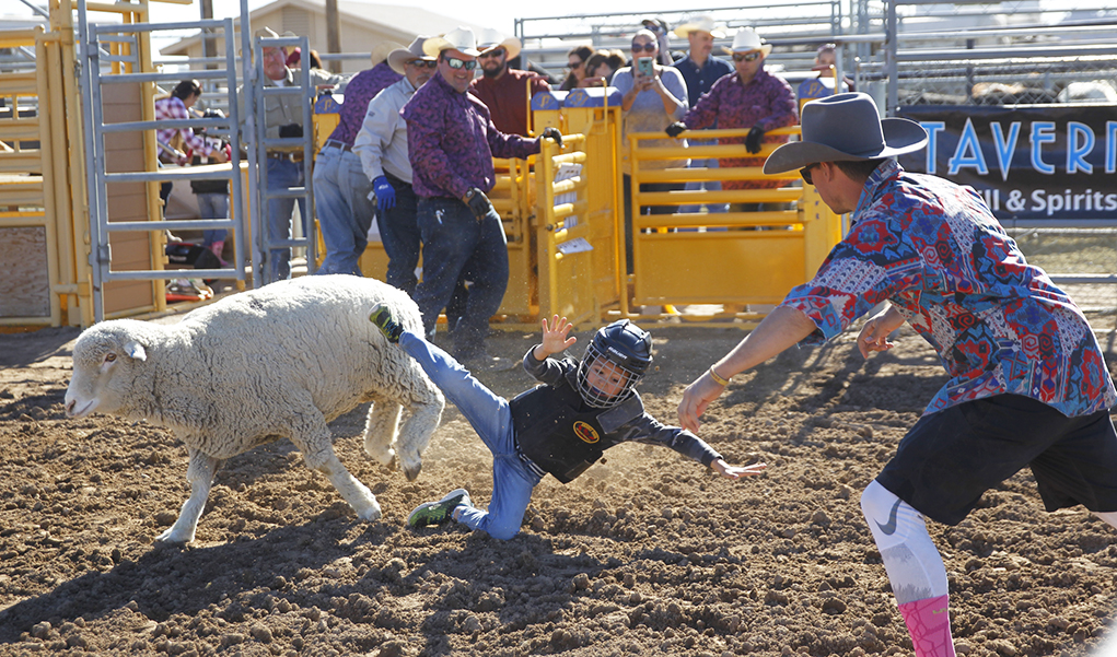 Volunteers Ensure Good Cowboy Fun