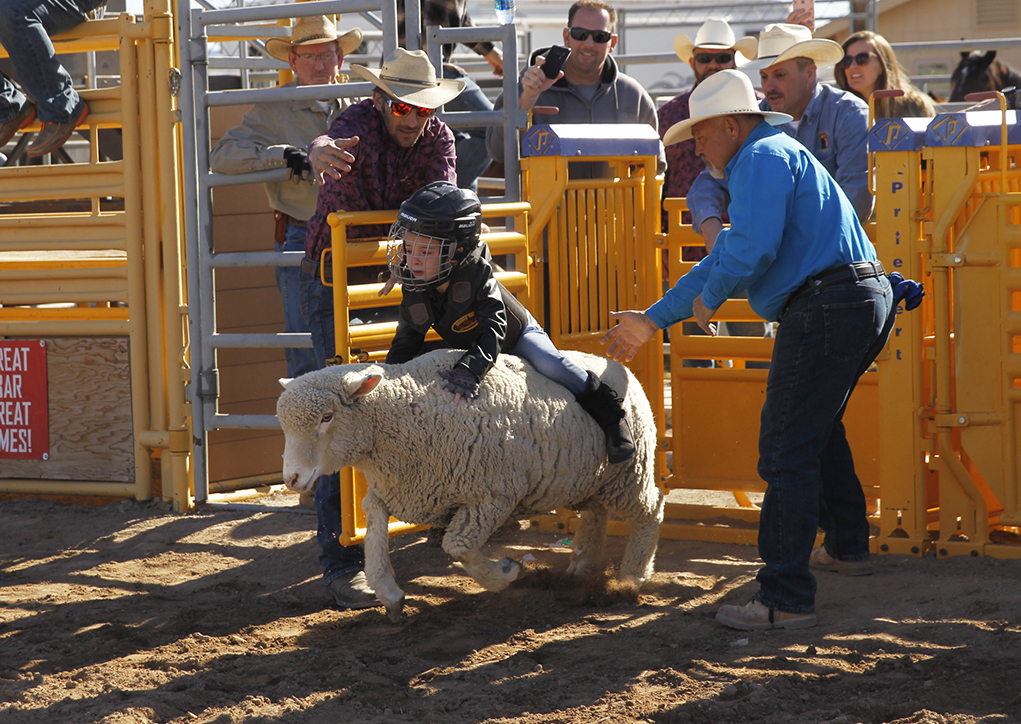 Grand Canyon Pro Rodeo and Little Delbert Days Saturday Photo Gallery