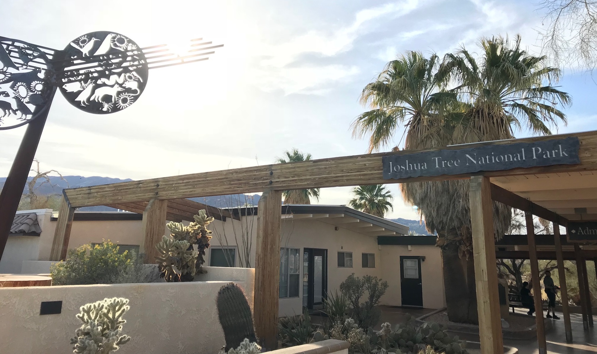 Day Trippin’: Joshua Tree National Park