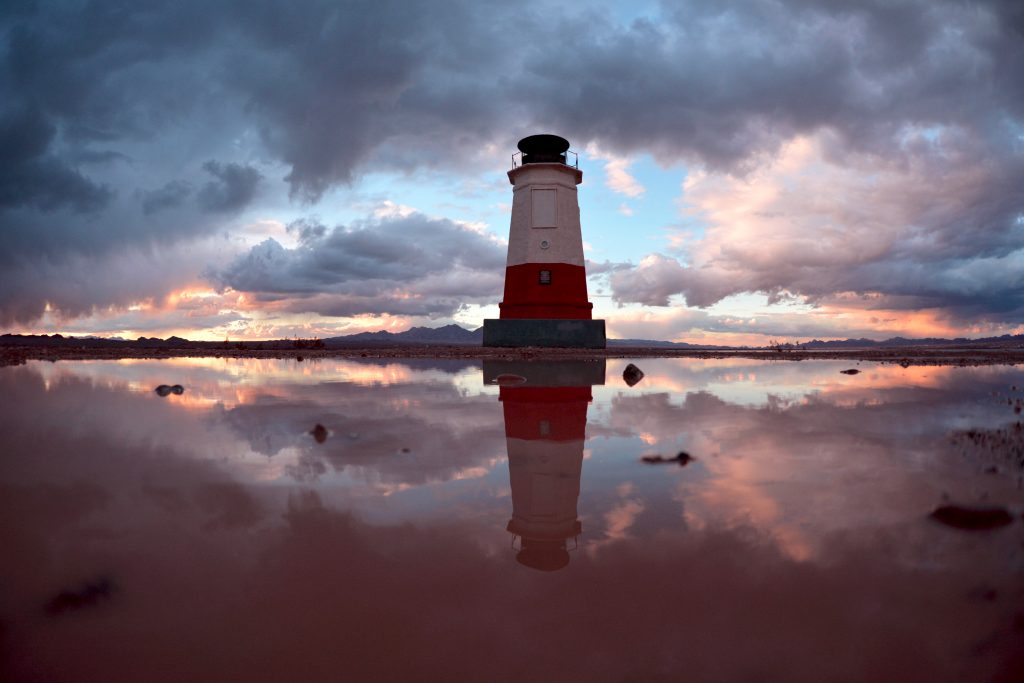 Photographer Spotlight: Susan Stocker