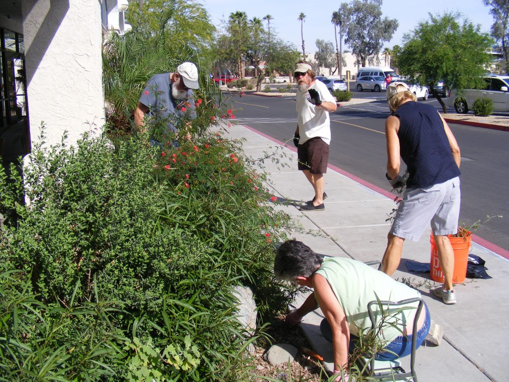 The Mohave County Master Gardeners Are Here To Help Your Garden Grow