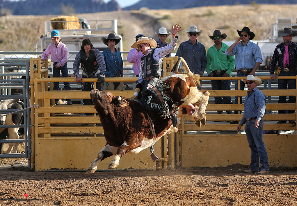 2020 Delbert Days and Rodeo Photo Gallery