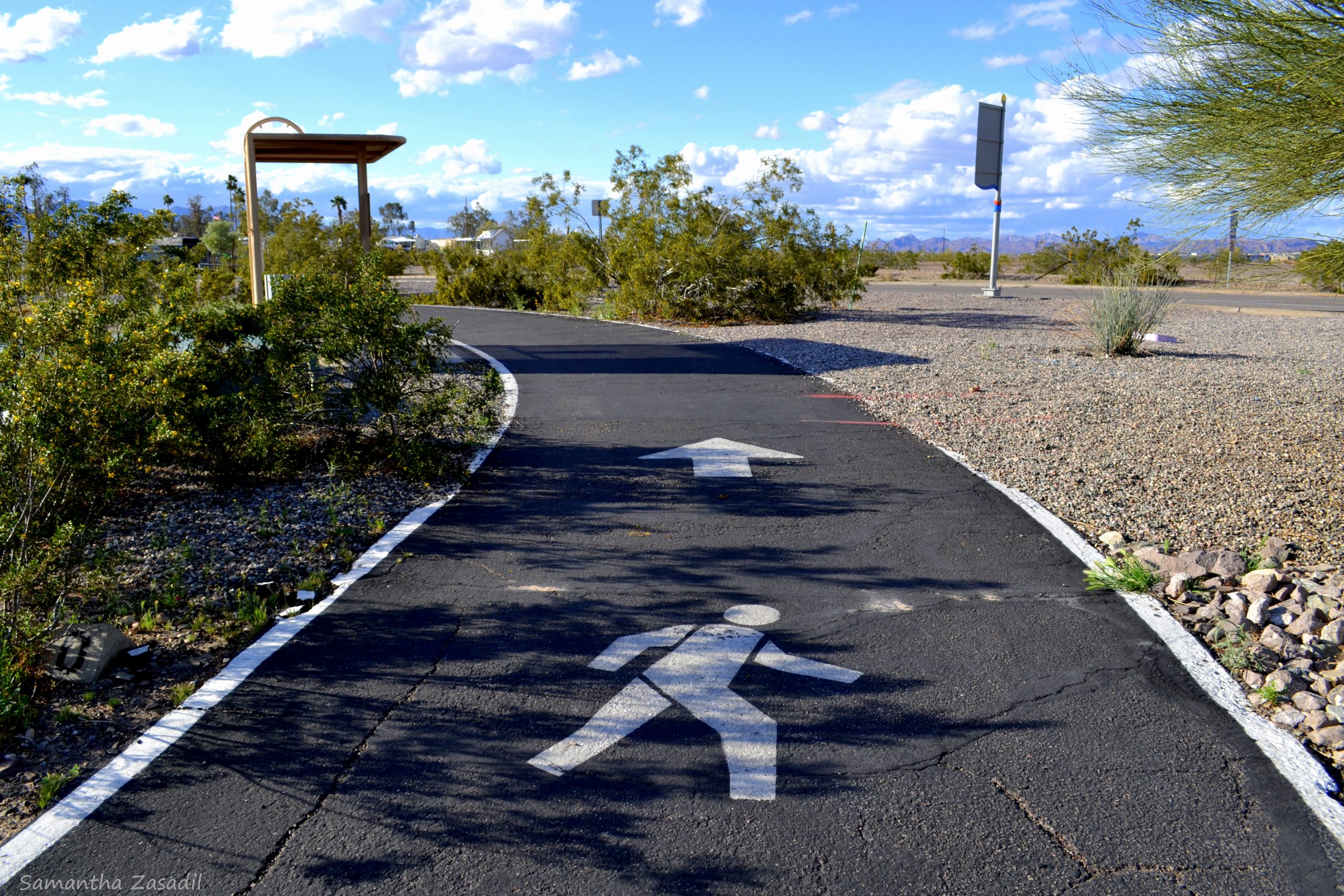 Lake Havasu Activity Spotlight: The Island Trail