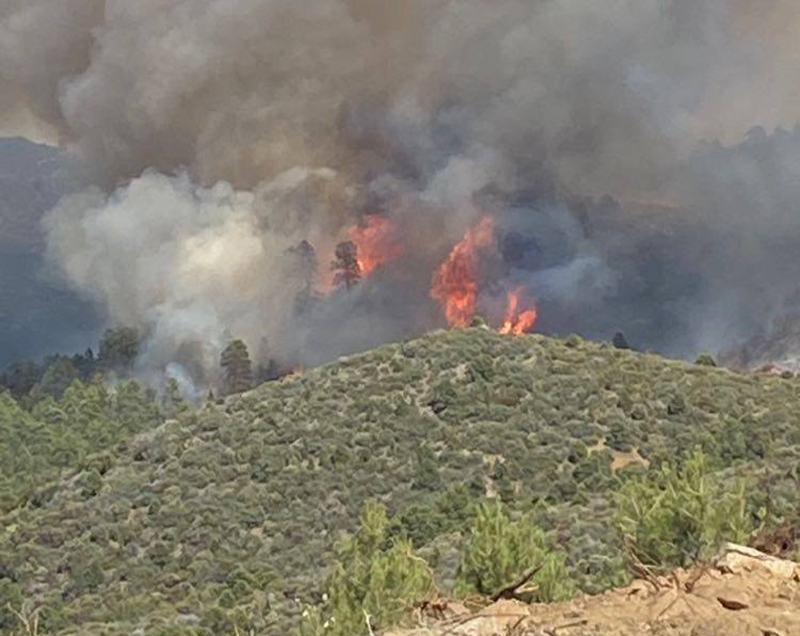 Desert Hills Fire District Shares Some Insight To Wild Land Fire Fighting