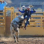 Annual Rodeo And Delbert Days This Weekend