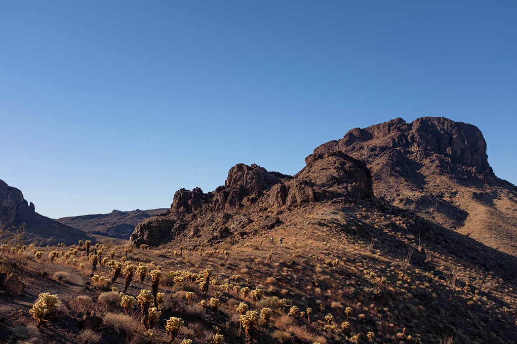 Lake Havasu Winter Weather Brings Opportunities For Hiking The Area