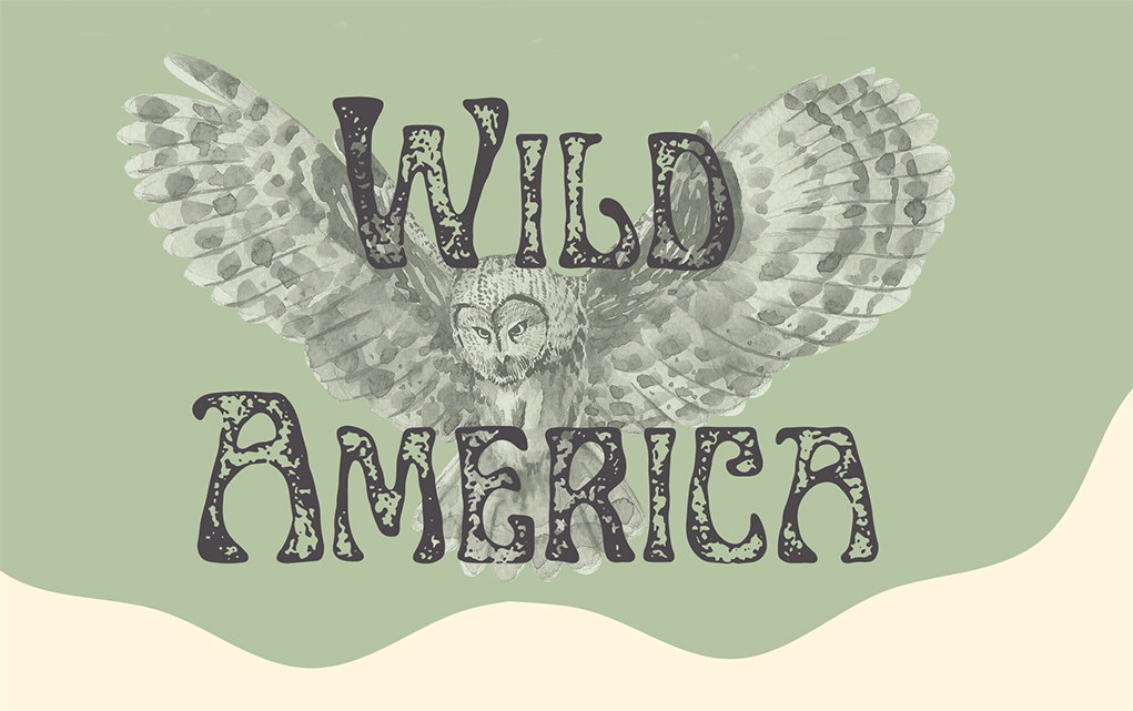Wild America Exhibition Launches At Lake Havasu Museum of History