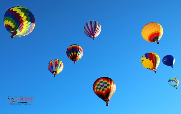 Hot air balloons over Lake Havasu City, Arizona. Jillian Danielson/RiverScene Havasu Balloon Festival 2022