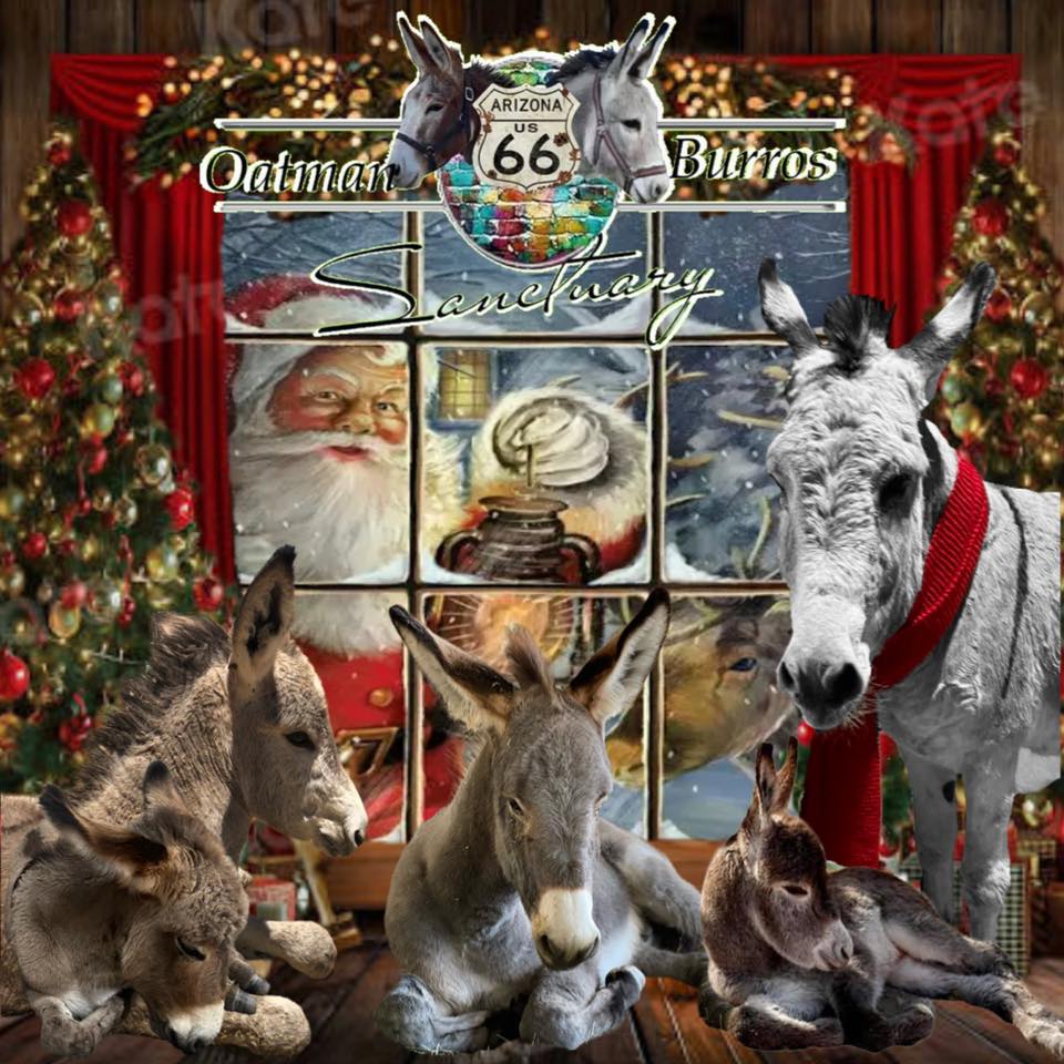 Cookies with Santa and the Burros
