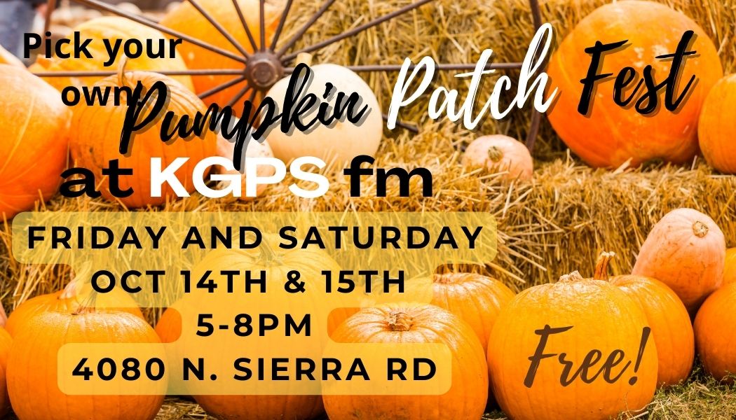 Pumpkin Patch Fest