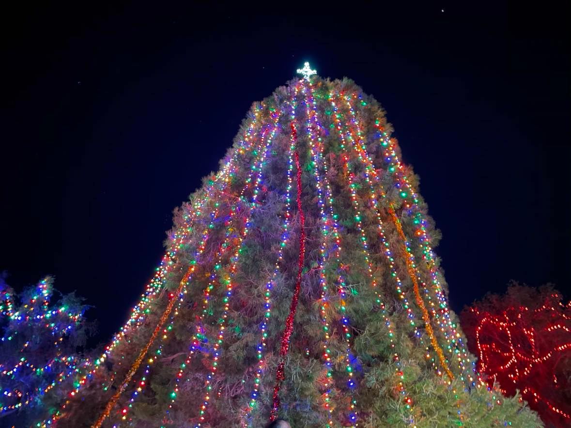 Christmas Tree Lighting in Wheeler Park