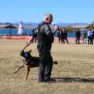 K-9s: Valuable Partners To Mohave County Sheriffs Deputies