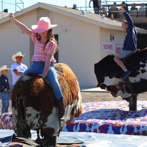 Pro Rodeo, Cowboys And  Delbert Days Activities Resume Today