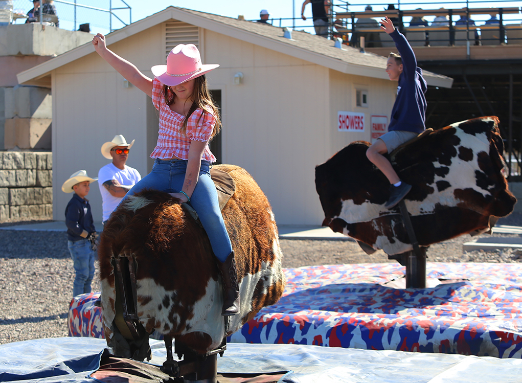Pro Rodeo, Cowboys And  Delbert Days Activities Resume Today