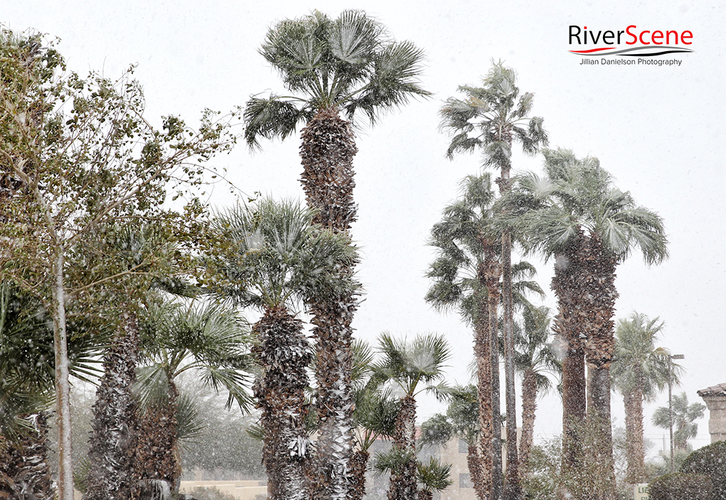 Lake Havasu City snow palm trees RiverScene Magazine Jillian Danielson Photography