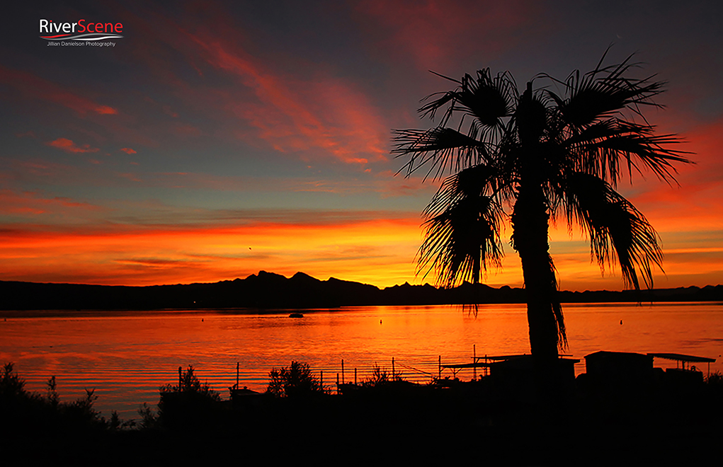 Lake Havasu City sunset palm trees RiverScene Magazine Jillian Danielson Photography