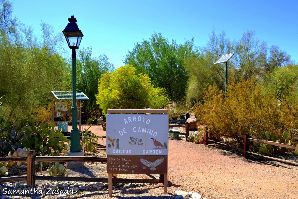 Exploring Havasu: Cactus Gardens In Lake Havasu City