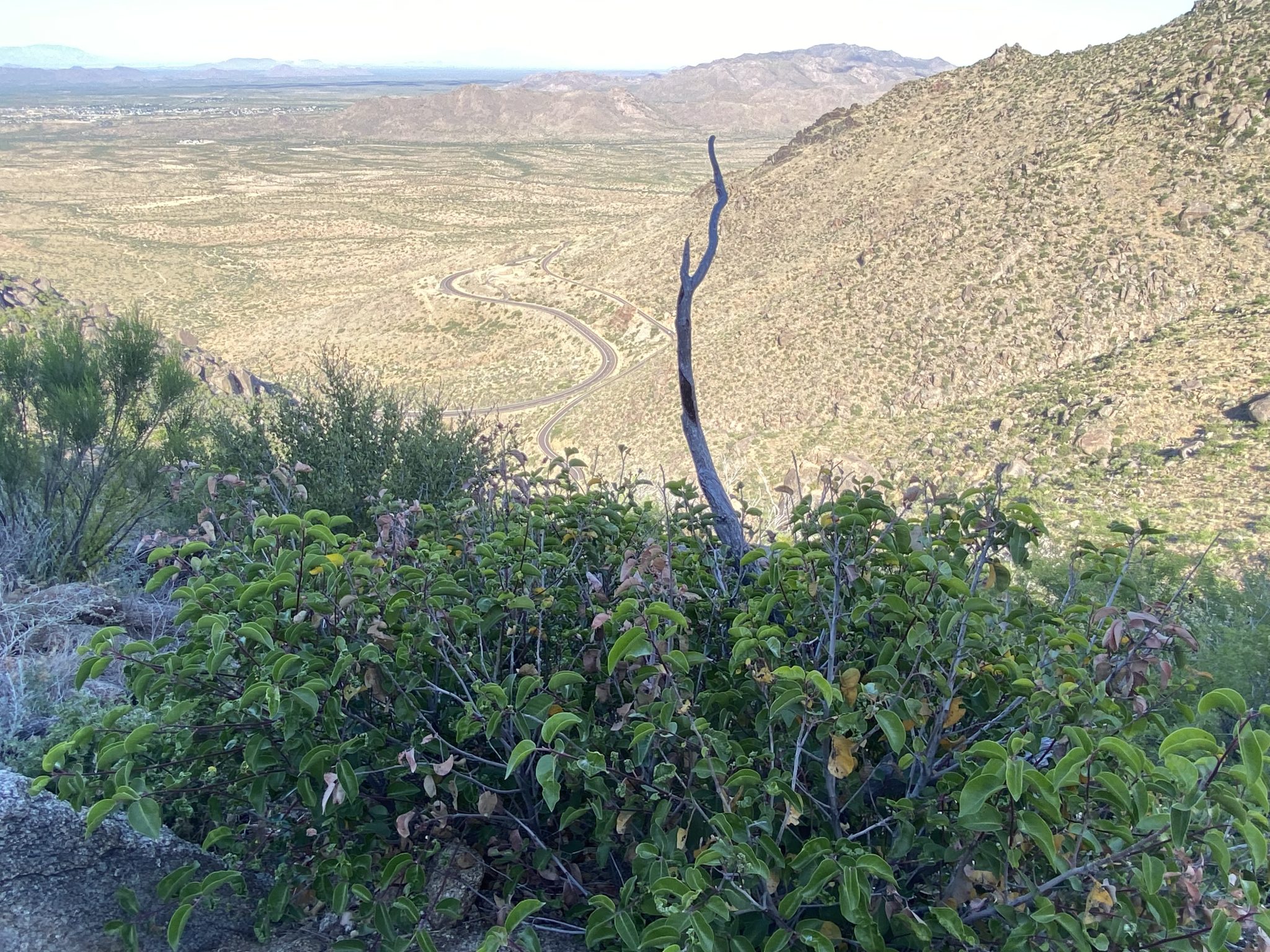 RiverScene Magazine Remembering The Yarnell Hill Fire 10 Years Later