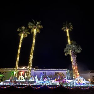 2024 Lights of Havasu List Voting For People’s Choice Now Open