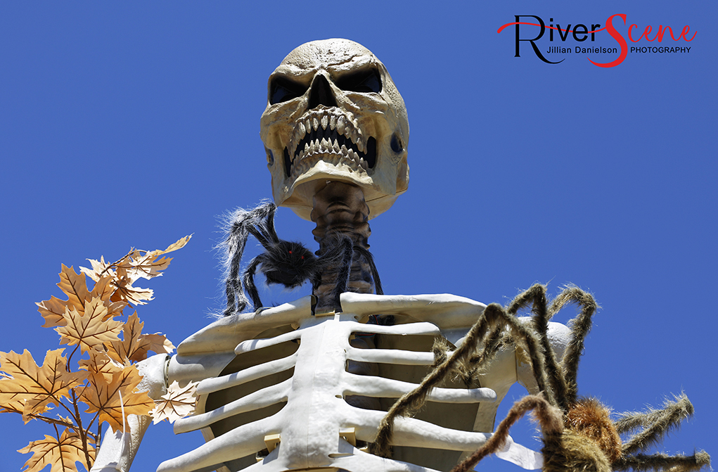 Halloween RiverScene Magazine skeletons