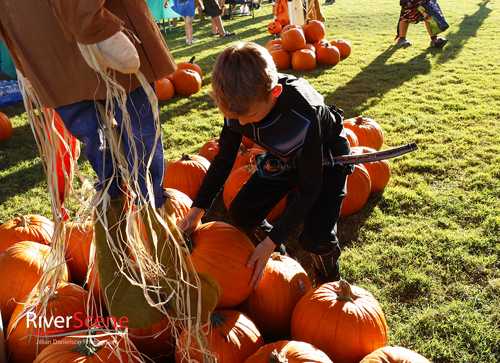 Fall Fun Fair 2024 Lake Havasu RiverScene Magazine Parks and Recreation