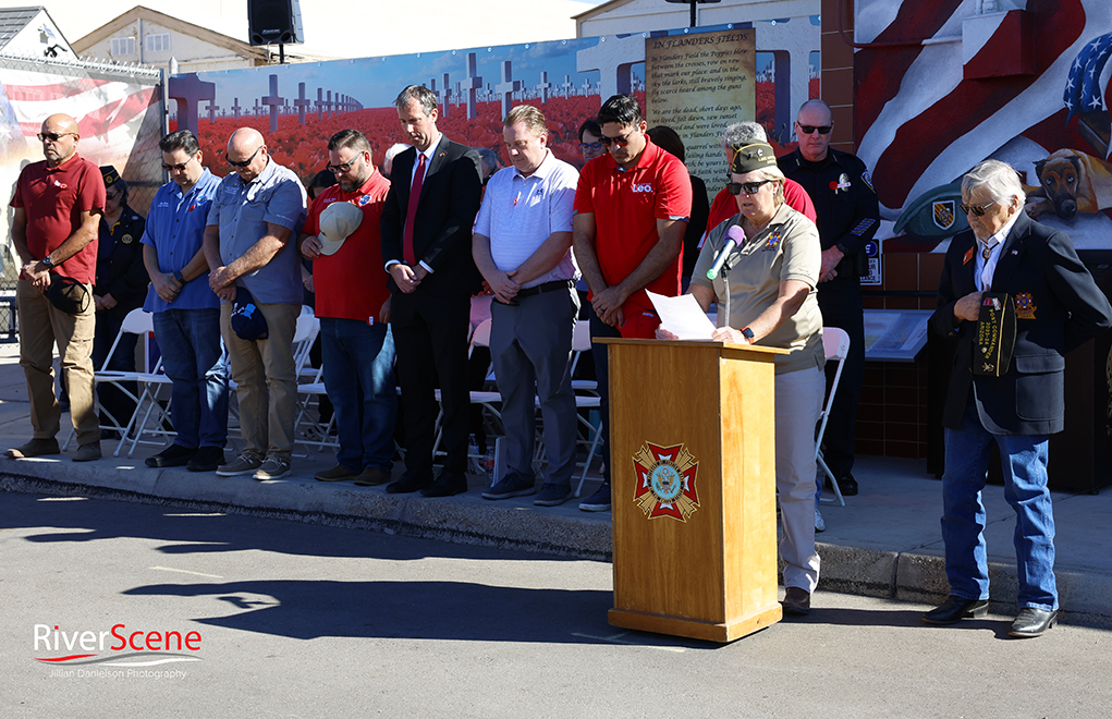 VFW Veterans Day 