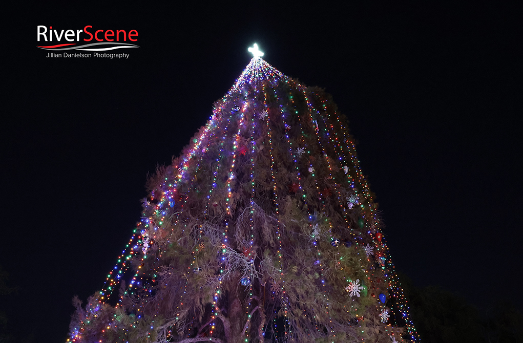 Christmas Tree Lighting RiverScene Magazine Lake Havasu City