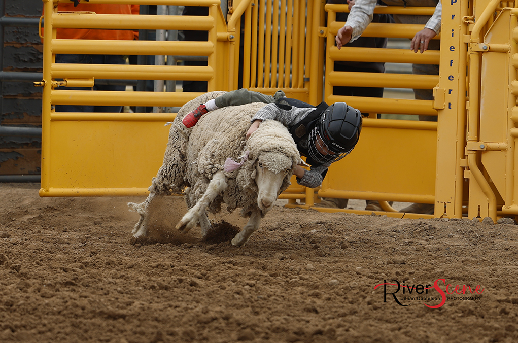 GCPRA Rodeo And Delbert Days Brings Out Cowboys/Cowgirls