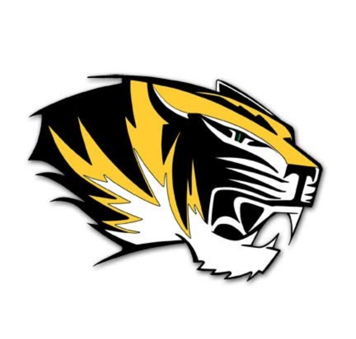 Telesis Preparatory Academy Earns Prestigious Accreditation