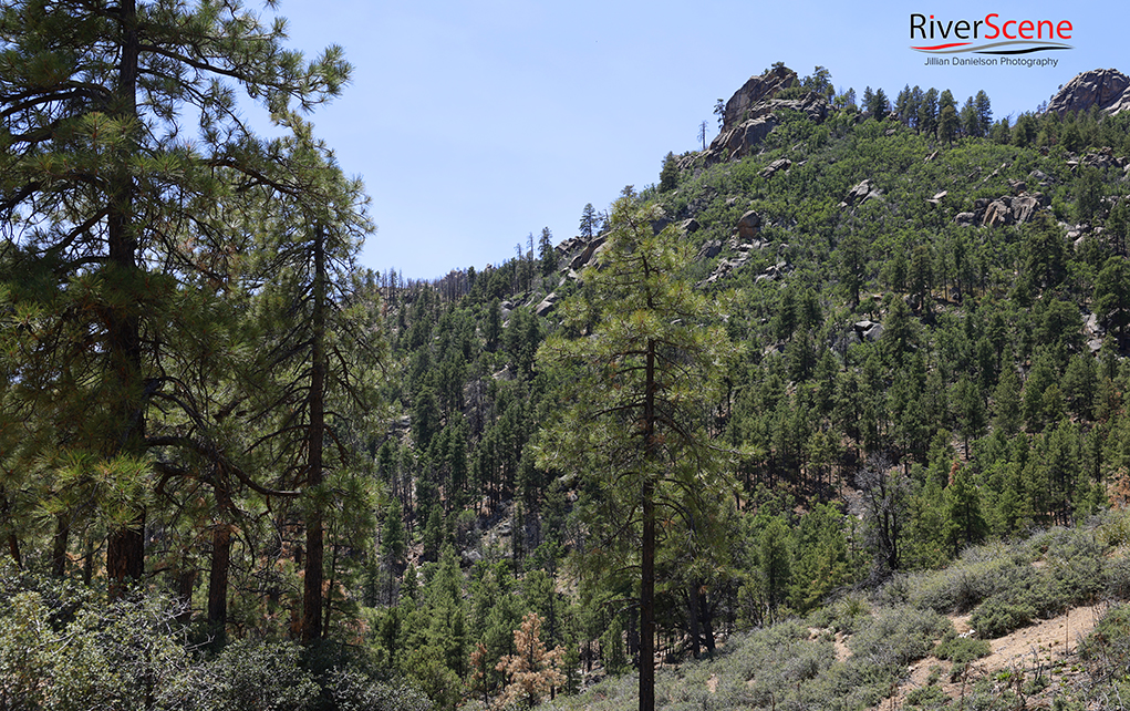 Hualapai Mountain Park Kingman Arizona RiverScene Magazine 