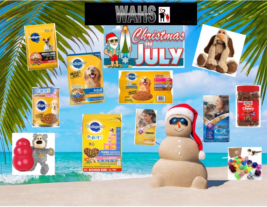 Lake Havasu’s Furry Friends Need Some Summer Attention