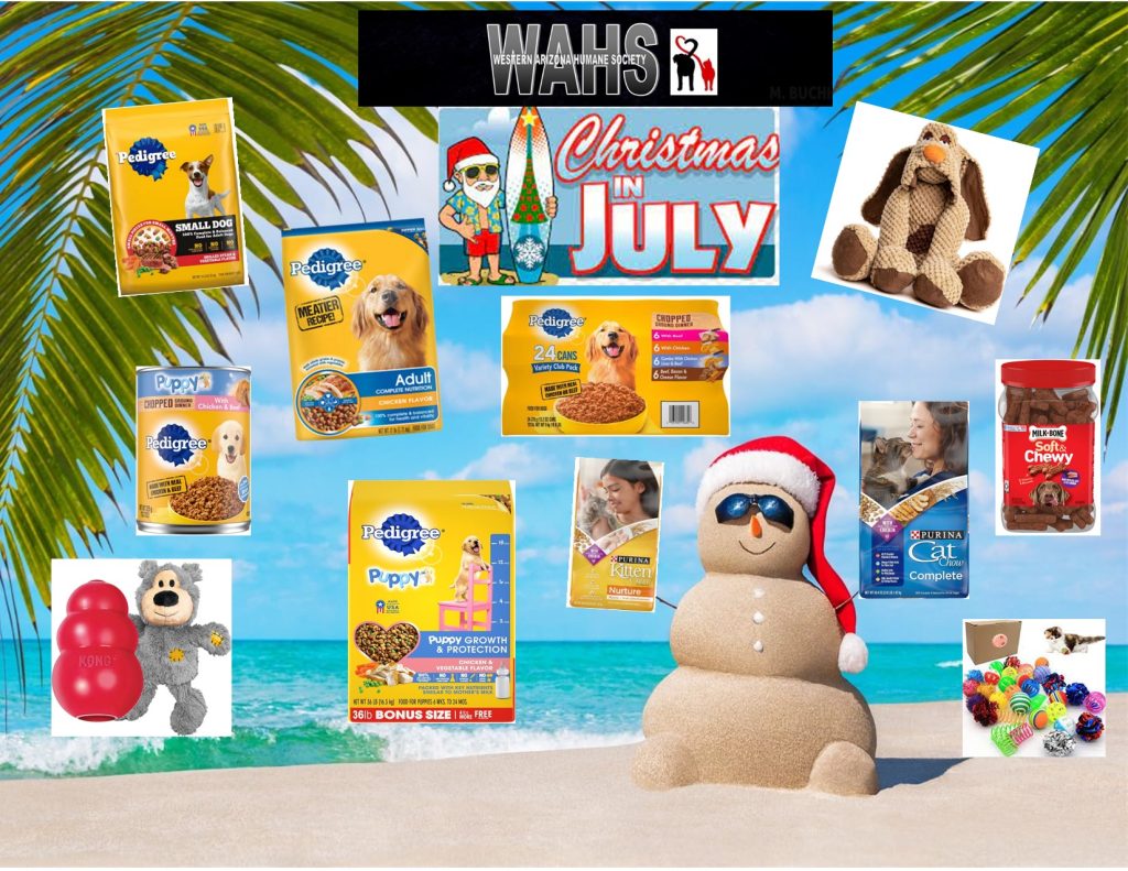 Lake Havasu’s Furry Friends Need Some Summer Attention