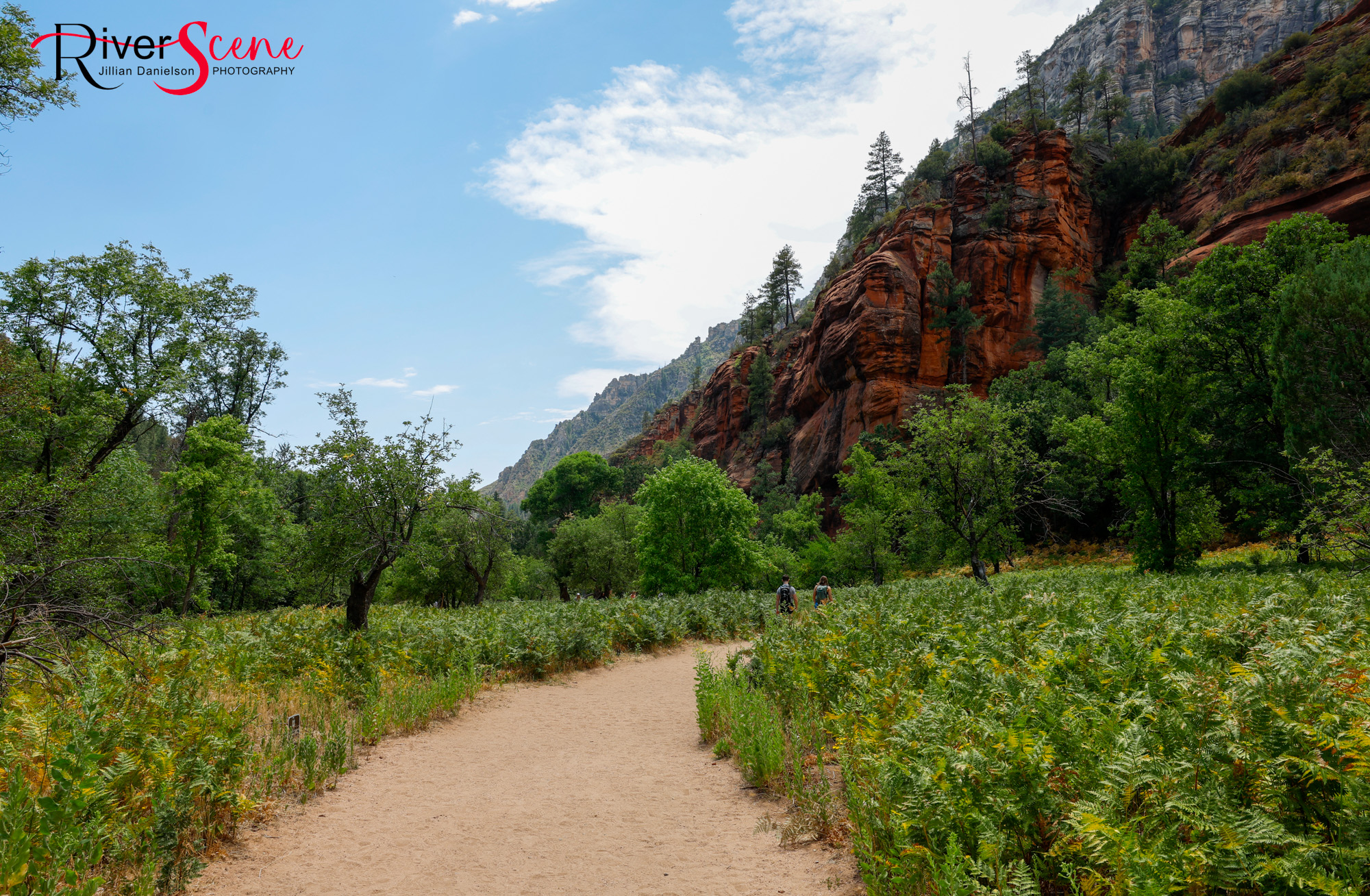 RiverScene Road Trips To Sedona And Oak Creek Canyon